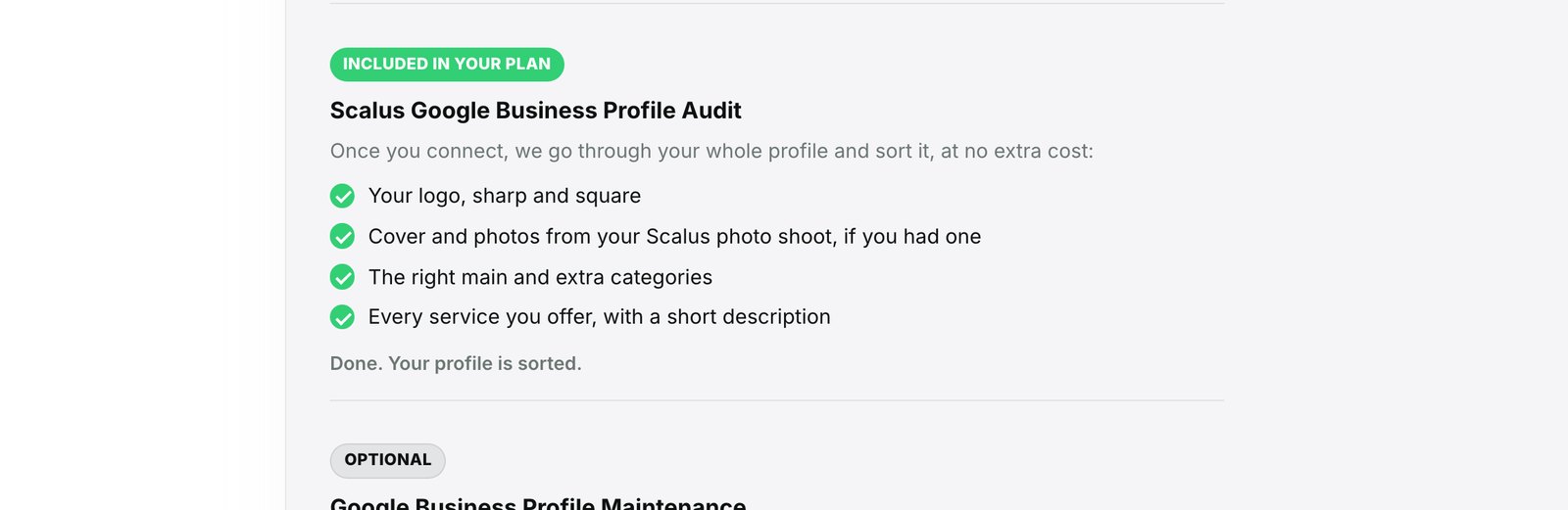 The Scalus Google Business Profile Audit shown as included in your plan, with a tick beside logo, photos, categories and services